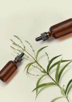 Herbal%20Oils_edited.jpg