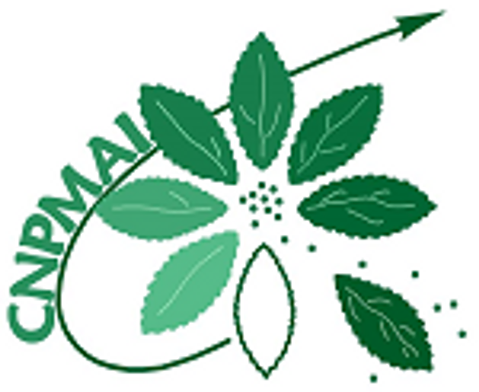 cnpmai_petit-51f34.png