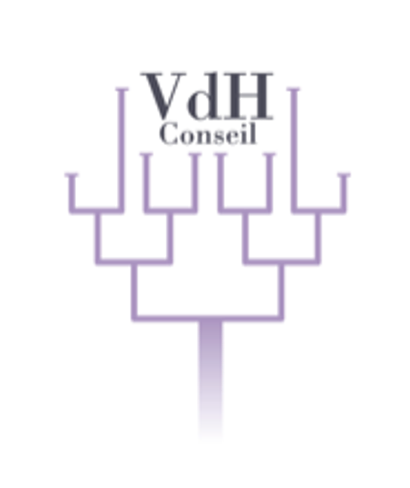 logo_vdh_pwsiof-8179f.png