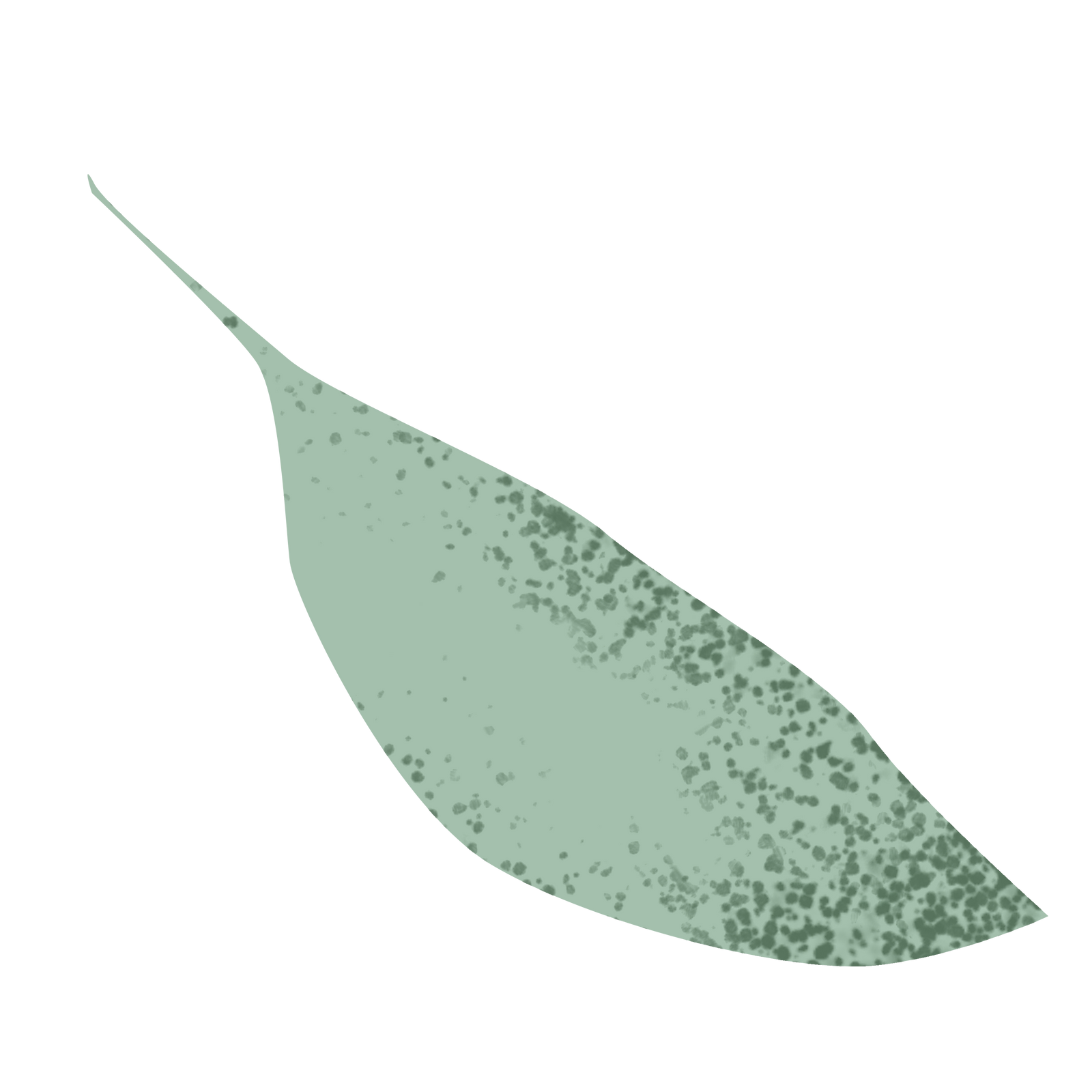 AEnB2Uo0N7oEQ7J88trZm2gitvSO7LnqQxpErQtC